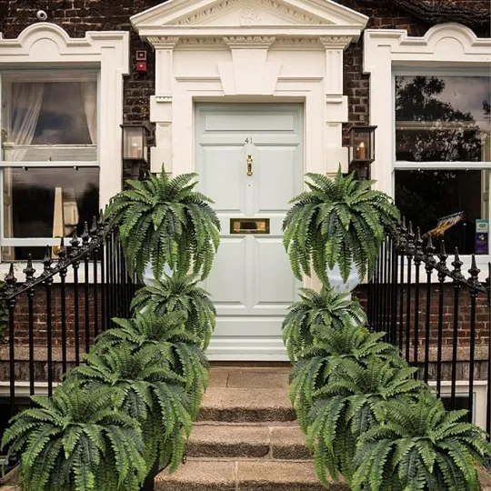 EverLush Fern - Instant Designer Greenery Without Maintenance + 50% OFF - Image 3