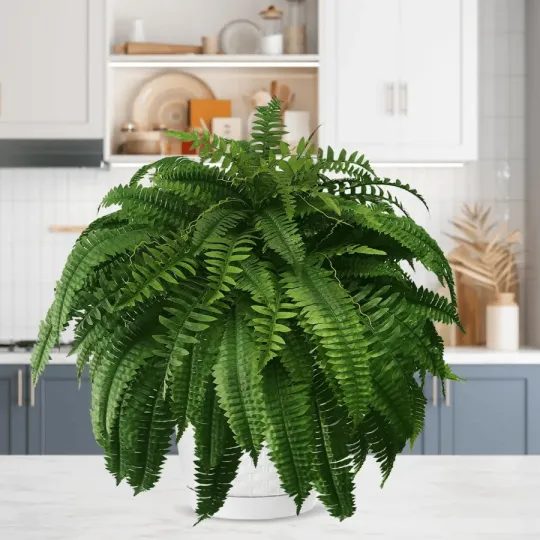 EverLush Fern - Instant Designer Greenery Without Maintenance + 50% OFF - Image 9