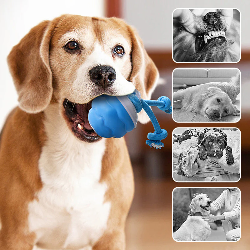 The AuraBounce Interactive Pet Ball - Smart, Automatic, and Teeth-Grinding Fun + 50% OFF - Image 4
