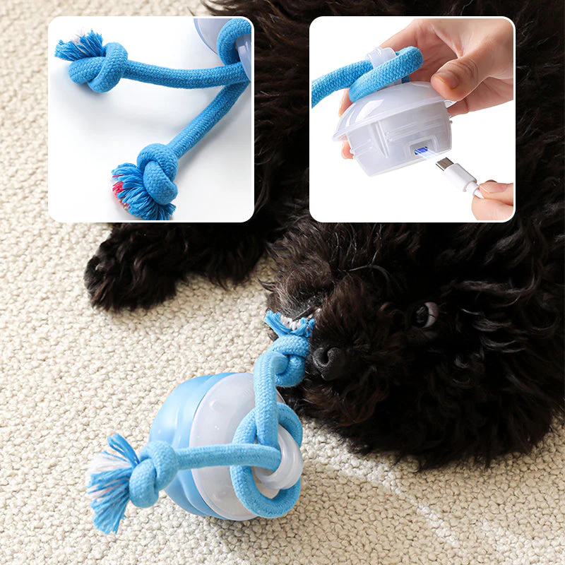 The AuraBounce Interactive Pet Ball - Smart, Automatic, and Teeth-Grinding Fun + 50% OFF - Image 6
