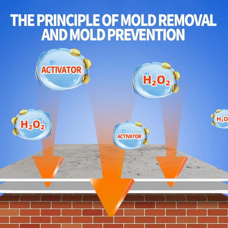 The MoldEraser Pro Spray - A Mold-Free Home, Guaranteed + 50% OFF - Image 3